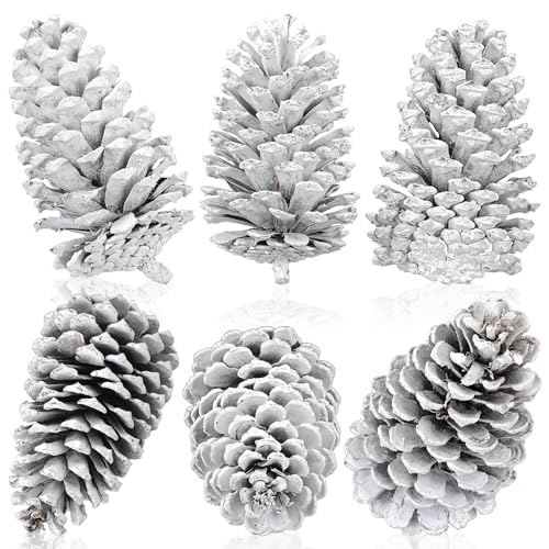 Tondiamo 6 Pcs Christmas Large Pine Cones Giant White Xmas Tree Ornaments Big Unscented Natural Pinecones Craft for Decoration Winter Christmas Holiday Craft DIY Wreath Filler Home Wedding(6-7 Inch)