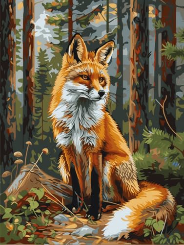 io[yCg A[gpl 50x40cm t[t l S ȒP DIY ANG̋ Zbg CeA G   XgX  蕨 a v[gAԍhGʉAX̃Lcl