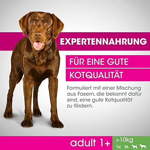 Perfect fit Dog Adult Huhn, 1400 g