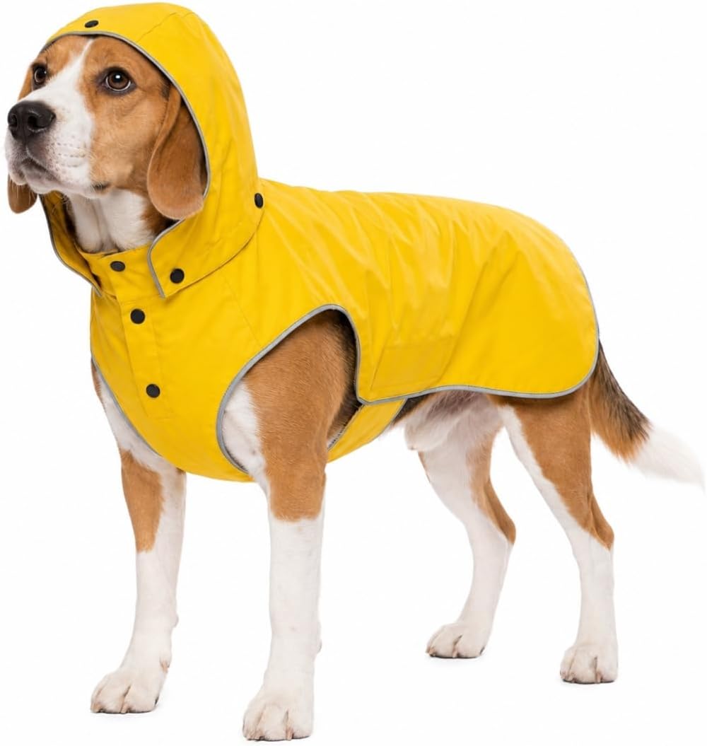 Dog Raincoat, Medium, Yellow | Waterproof Rain Jacket with Detachable Hood, Reflective, Adjustable Belly Strap, Harness & Leash Hole, Yellow