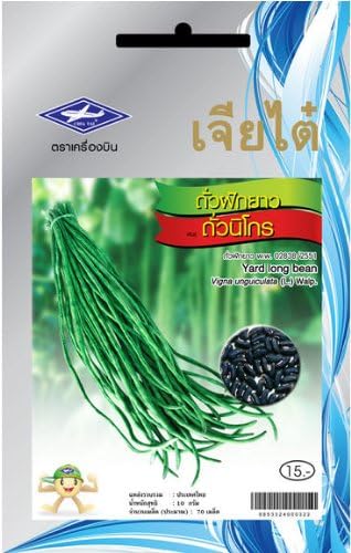 Yard Long Bean (Thai Long Bean) (70 Seeds) Black Seeds - 1 Package From Chai Tai, Thailand