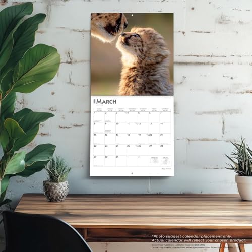 Baby Animals | 2026 12 x 24 Inch (Hanging) Monthly Square Wall Calendar | Plastic-Free | BrownTrout | Domestic Pets Chicken Small Cute - image 5
