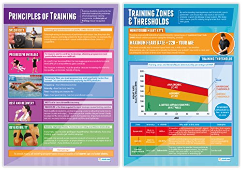 Daydream Education Physical Training Posters - Set Of 7 | Pe Posters | Gloss Paper Measuring 33” X 23.5” | Physical Education Charts For The Classroom | Education Charts #TOP1