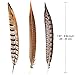 20pcs Natural Ostrich Feathers Plumes Bulk 10-12inch (25-30cm) for Wedding Party Centerpieces, Flower Arrangement and Home Decoration(20PCS-Champagne) (3 Style - 18pcs)