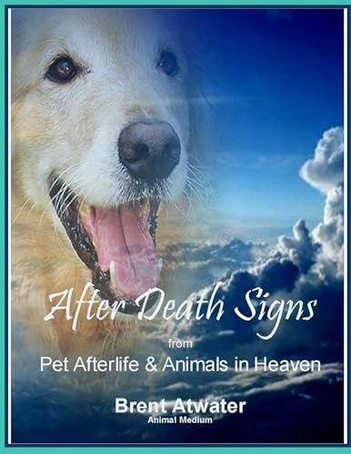 After Death Signs from Pet Afterlife & Animals in Heaven: How to get more Signs & Visits