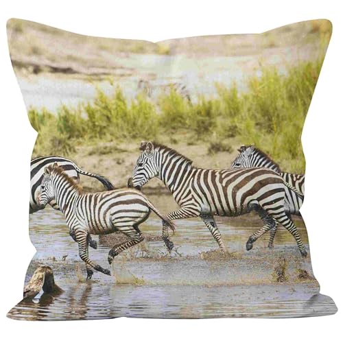 Nimvoya Fundas de almohada de lino para sofá de exterior, impermeables, 40 x 40 cm, fundas de almohada para exteriores, funda de cojín para caravana, comedor, sala de estar, sofá, 1 unidad