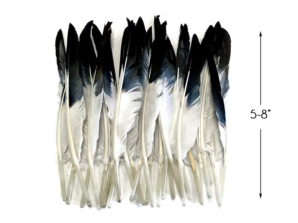1 Pack - Black Tipped Duck Primary Wing Pointer Feathers 0.50 Oz. Craft Halloween Costume Carnival Supply | Moonlight Feather
