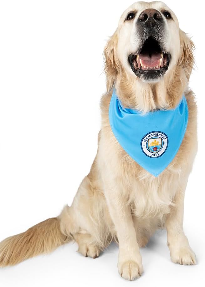 Official Man City Dog Bandana | Man City Football | Dog Accessories | Licensed Man City Merchandise | Football Dog Bandana (Large)