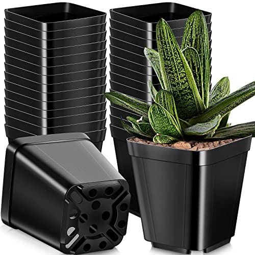 250 Pack Black Square Nursery Pots 4 Inch Plastic Seedling Pots Nursery
