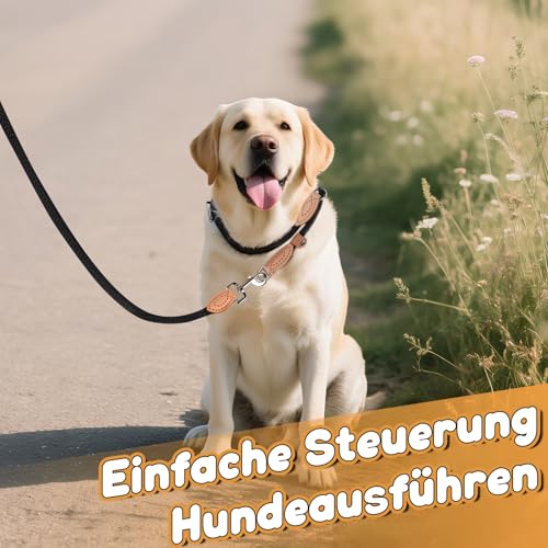 2 STK Freestyle Dressurhalsung Set, Zugstopp Halsband und Hundeleine Set,1.4 cm Retriever Halsband Hundeleine,Robustem Nylon Trainingshalsband Hund, Lederimitat mit Metallring