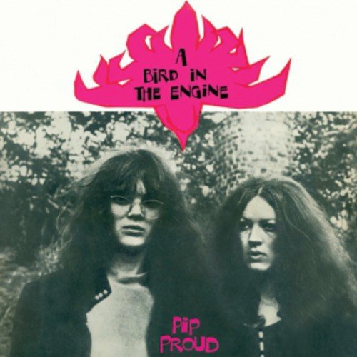 A Bird In The Engine [Vinilo]