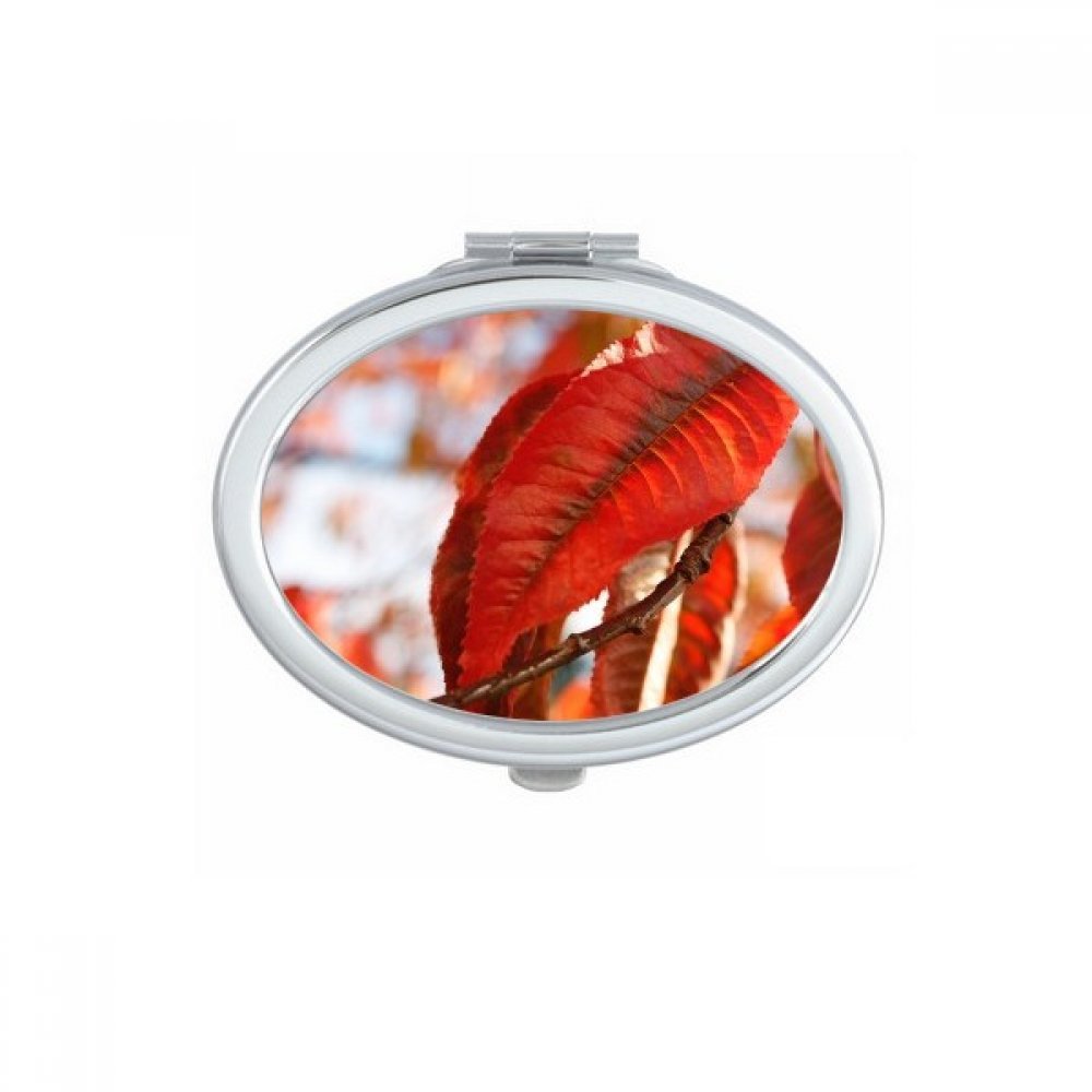 Miroir compact feuille nature : l'accessoire retouche beauté partout