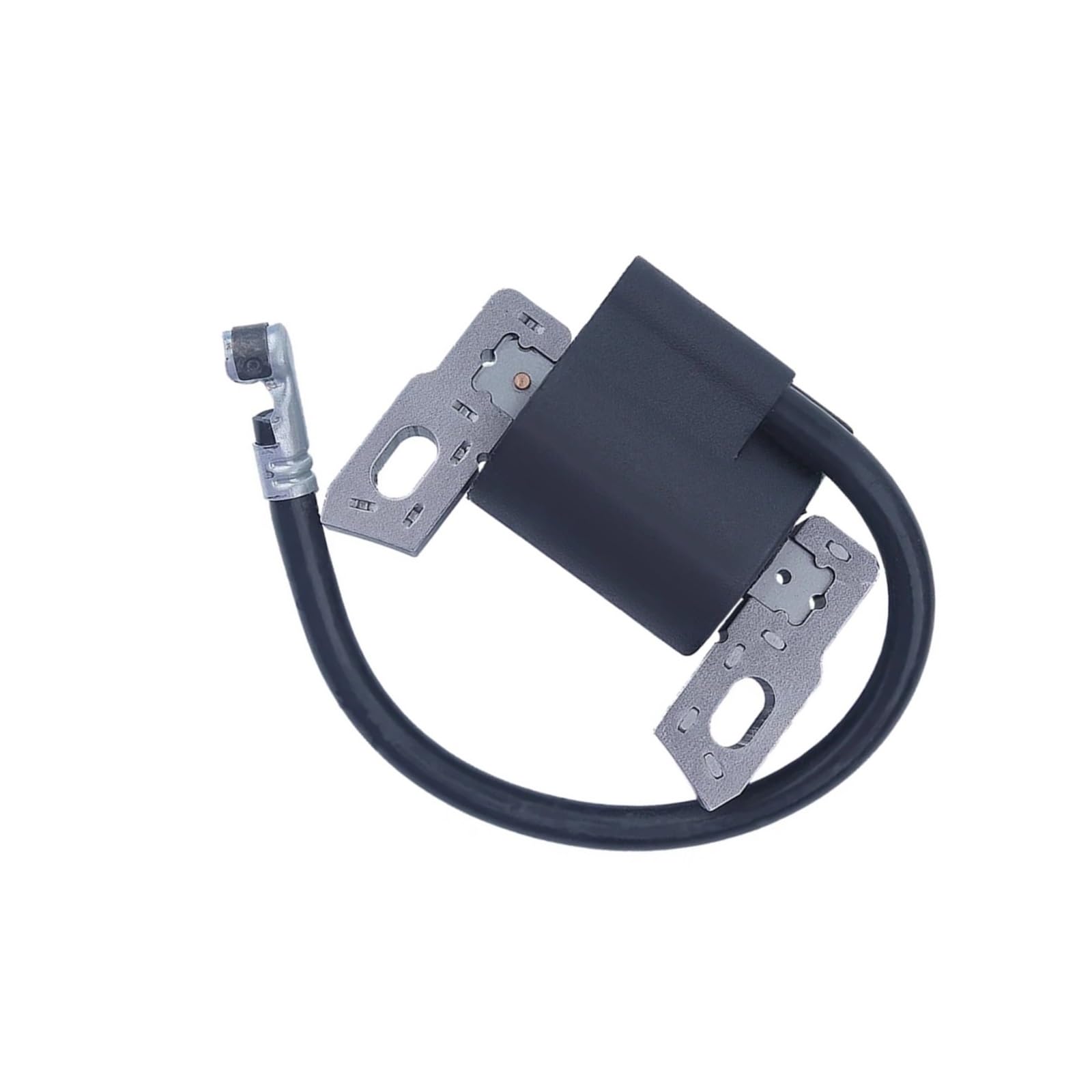 Bobine d'allumage stop ratés de moteur pour séries 111P05 et 121Q72 OEM 796499