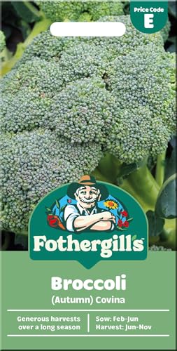 Fothergill's Broccoli 'Covina' Seeds for Planting UK â€�