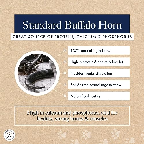 Hollings Buffalo Horn Standard Dog Treat, 100% Natural Grain Free Chew Treat for Adult Dogs, High in Protein and Naturally Low in Fat (1 Pack)