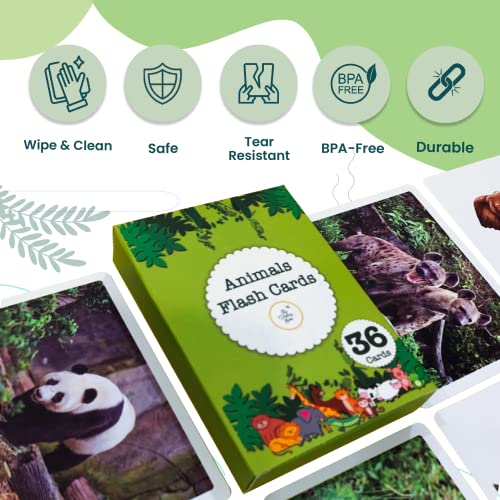 Image of Animals | 36 Laminated Anti-Glare Flash Cards | Montessori Inspired Fun & Easy to Learn Toys for Kids