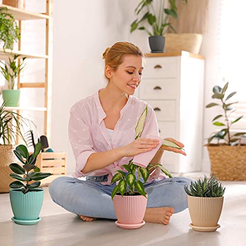 LISHONN Plastic Round Flower Pots for Home Planters, Terrace, Garden Etc | Pack of 05 | Multicolor | Suitable for Home Indoor & Outdoor Gardening Plants