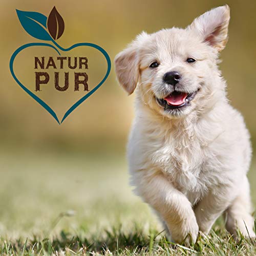 cdVet Fit-Crock Hundefutter trocken Puppy Lamm 3 kg, getreidefrei
