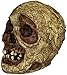 Ghoulish Productions Mummy Skull Halloween house decor