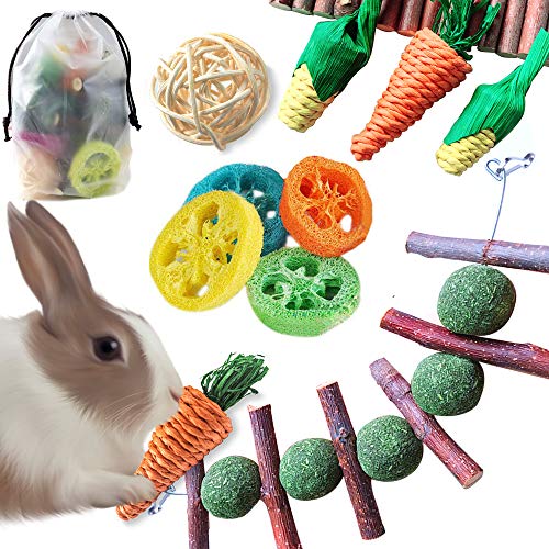 Epessa 9 Pack Rabbit Chew Toys Set with Storage Bag, Natural Bunny Toys for Dental Health, Carrot & Corn Chew Toys, Apple Sticks Grass Balls & Loofah Toys Gifts for Rabbit Bunny Hamster Small Animals
