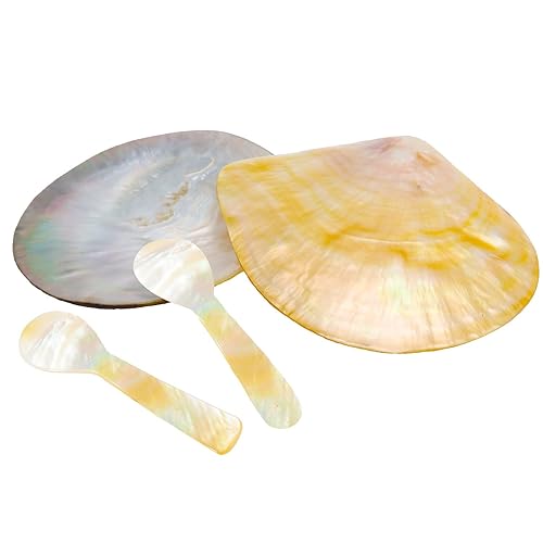 Juego de 4 piezas de caviar hecho a mano, plato de caviar de nácar negro/dorado y 2 cucharas de perlas para joyería de caviar, regalo de Navidad