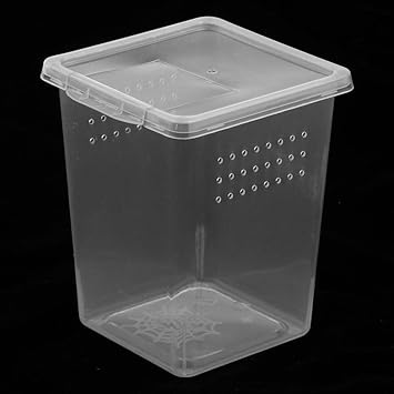 GIANTE Reptile Spider Breeding Box Container Case Hatching Tank 8x8x11cm