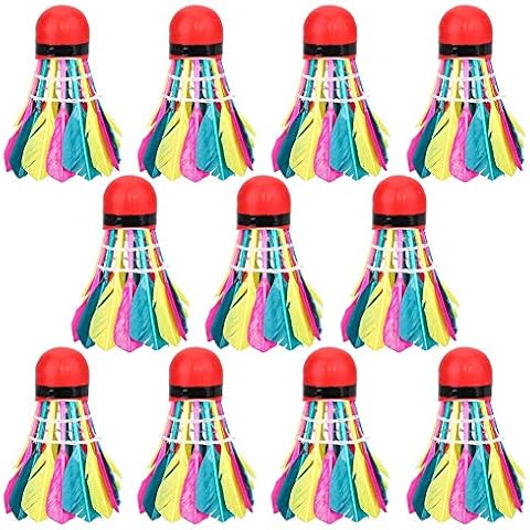 HGY 11Pcs/Lot Durable Colorful Badminton Balls Shuttlecocks Sports Training Accessory Cover