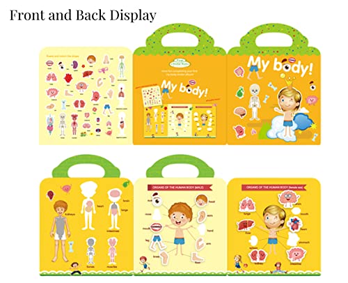 Reusable Sticker Books For Kids 2-4, Stickers For Kids Princess, Insect, Body And Seasons Theme Stickers For Toddlers 2-4 Years Activity Book For Travel Airplane Car Busy Toys #TOP4