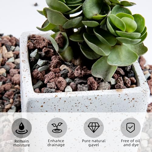 Image of 5lb Natural Dark Mixed Color Silica Gravel Pebbles, 1 /5 inch Decorative Stones for Succulents, Pebbles for Vases,Plants Rocks, Aquarium Silica Gravel, Top Dressing, Outdoor Decorative Rocks