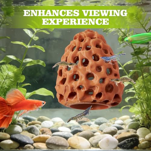 Image of Shrimp Dome Hide, Shrimp Hides for Aquarium, Betta Fish Hideout with Suction Cup, Betta Habitat Tank Ornament Accessories, Aquarium Decor for Small Fish Guppy Hiding Resting (Brown)
