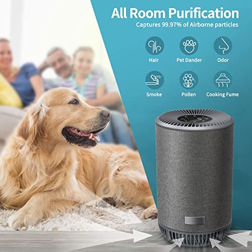 Airextend Hepa Air Purifiers, Room Purifier With 3 Stage Filtration System, 24-Hour Timer, And 22Db Ultra-Quiet Sleep Mode, True Filter Removes 99.97% Dander, Smoke, Odor For Bedroom & Office #TOP3