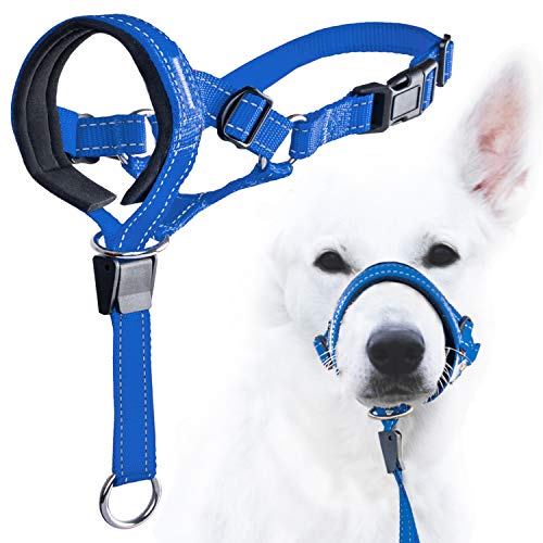 GoodBoy Dog Head Halter Blue Nylon (Blue, 3)