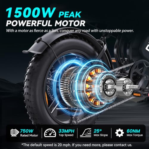 1500W Adult Electric Fat Tire Ebike