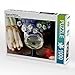 Produktbild CALVENDO Puzzle Spargel und Weißwein 1000 Teile Lege-Größe 64 x 48 cm Foto-Puzzle Bild von Kay Tänzer