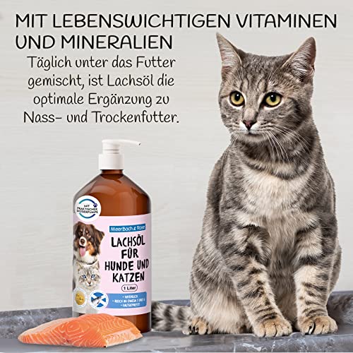 1 Liter Lachsöl für Tiere, Lachsöl für Hunde und Katzen, Barf Öl Hund, Fischöl für Hunde, Naturprodukt
