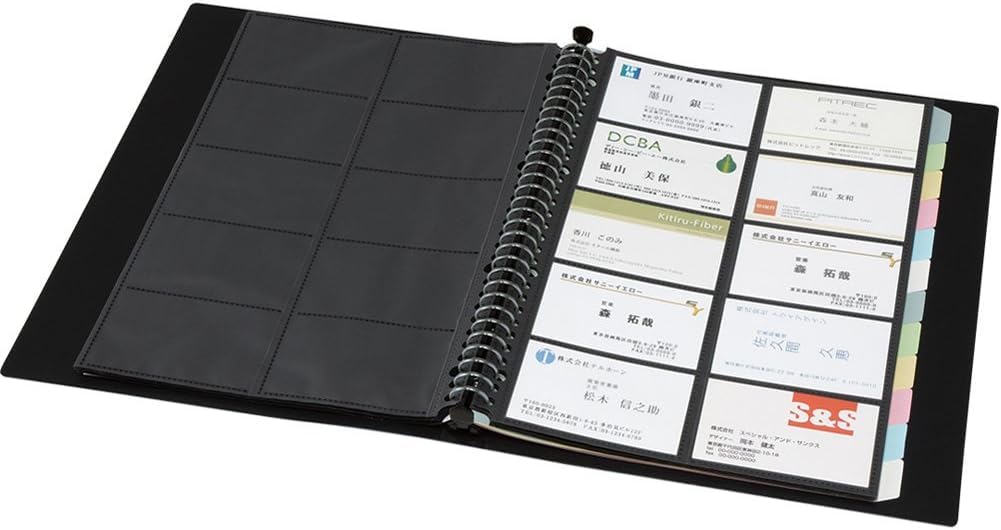 Amazon | キングジム 名刺ホルダー ショットドックス 差替式 500