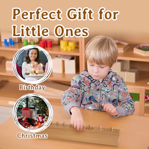 Image of MONTESSORI OUTLET Cylinder Block (Part 2) for Children Aged 3-6 Montessori Education at School and Home