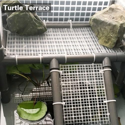 JVHLOV 8 Stück 30x15cm Aquarium Trennwand, Aquarium Isolation, Fisch Tank Isolation Divider mit 10 Aquarium Divider Saugnapf, für Aquarien Kunststoffgitter Platte (Schwarz)