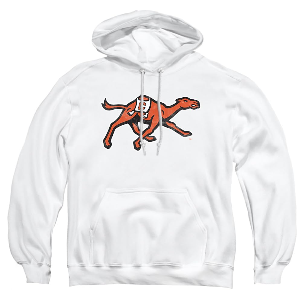 LOGOVISION Official Collegiate Distressed Primary Logo Adult Pullover Hoodie Collection — view 447