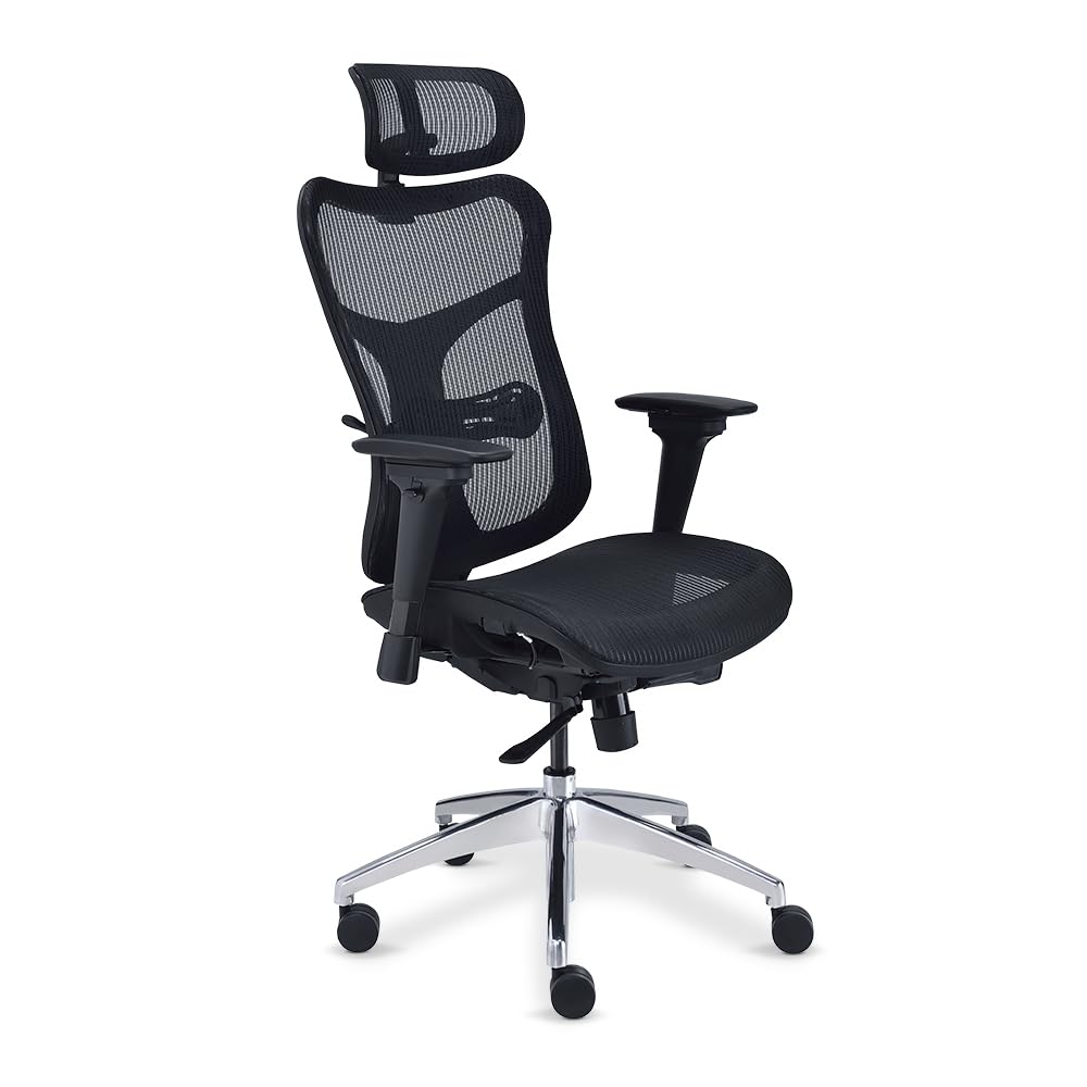 Rand Ergonomic Mesh Executive Chair with Headrest Black Mesh