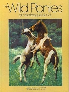 Hardcover The Wild Ponies of Assateague Island Book