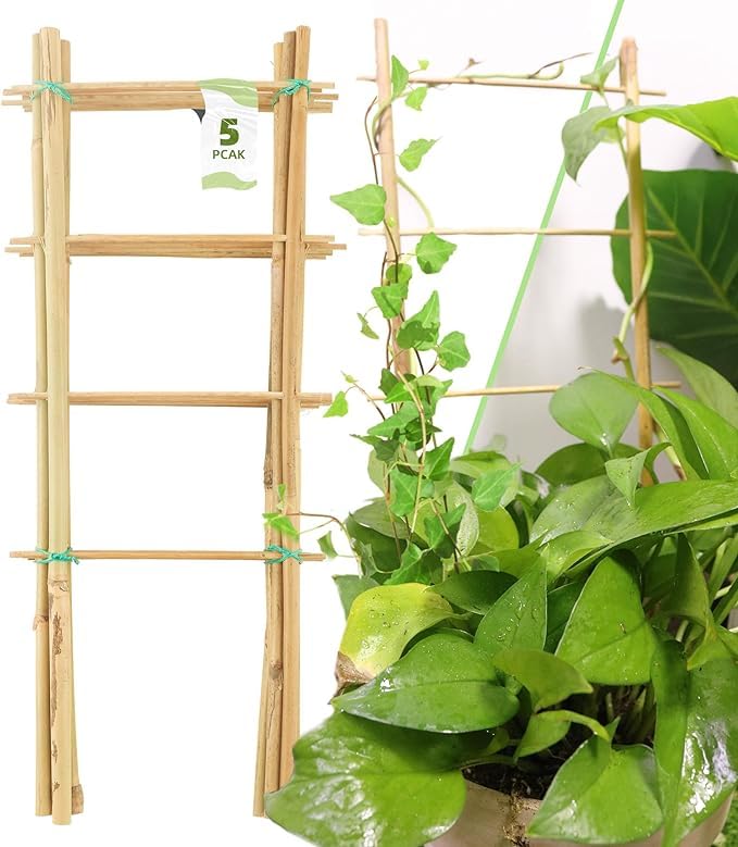 Suman 5 Pack Bamboo Trellis for Climbing Plants Indoor, 16 Inch Garden Ladder Trellis for Potted Plants, Fan-Shaped Small Plant Support Trellis for Houseplants Ivy Hoya Vine Monstera (B0CZRS3C6D) Amazon Price History, Amazon Price Tracker