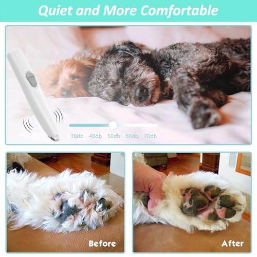 Image of HASTHIP Cat Dog Trimmer for Paw, Small Area Hair Trimmer & Nail Grinder | With LED Light, Low Noise, USB Rechargeable, Pen Shape Design, 2 Interchangeable Bits, Pen Shape Design