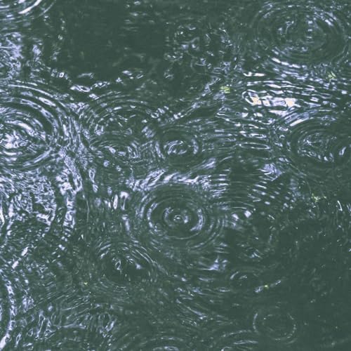 Amazon Music Unlimited White Noise Therapy, Baby Sleep & Deep Sleep