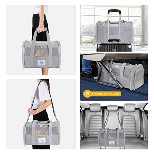 Seclato 737417061767 Pet Carrier Airline/Tsa Approved Small Dogs thumb #5