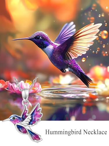 Dreamboat Hummingbird Bird Pendant Necklace for Women 925 Sterling Silver Jewelry Gifts for Hummingbirds Lovers4