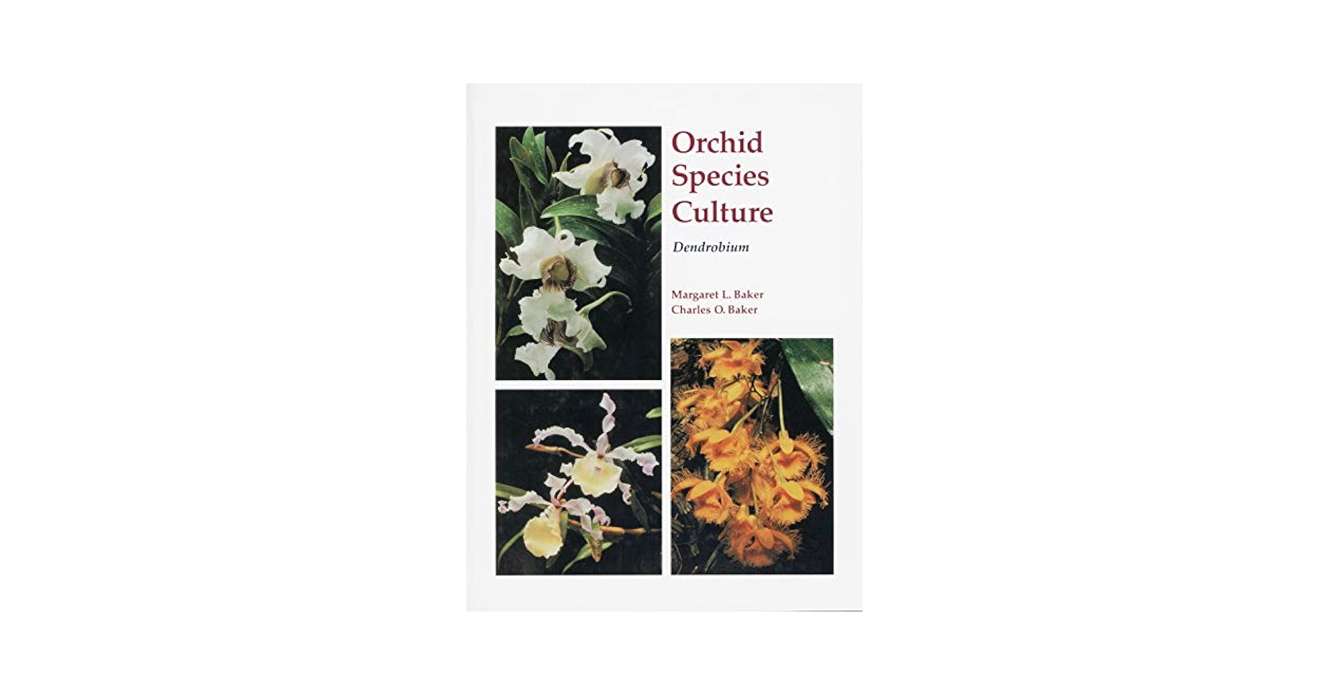 洋書 Orchid Species Culture : Dendrobium Orchid Species Culture: Dendrobium (Orchard Species Culture