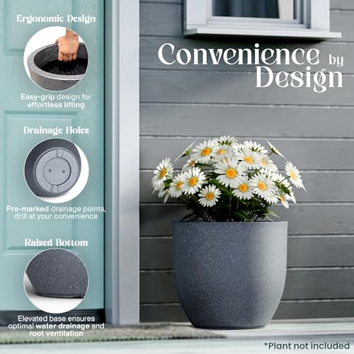 Image of YUCCABE ITALIA FOXB PCUP 12 INCH Pots for Plants Highly Durable Polymers Lightweight Indoor Outdoor Flower Pot Gamla Tree Planter Container Planters for Living Room, Balcony, Garden | Gray