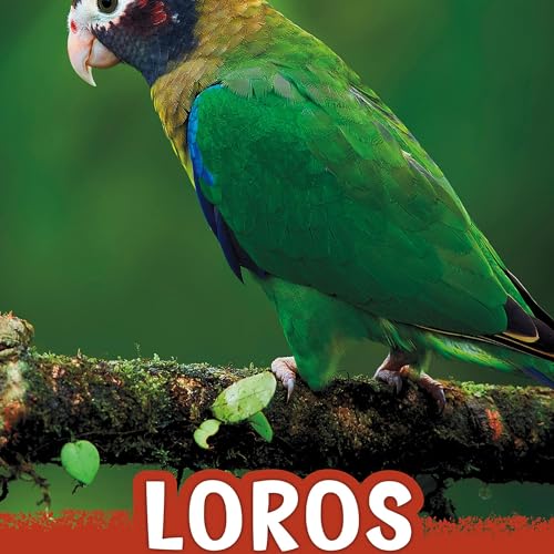 Loros [Parrots] | Mari Schuh, Aparicio Publishing LLC episode artwork