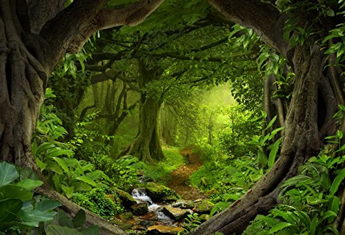 3x2m Vinyl Foto Hintergrund Tiefe Tropische Dschungel von Südostasien Natur Waldlandschaft Fotografie Hintergrund für Photo Booth Baby Party